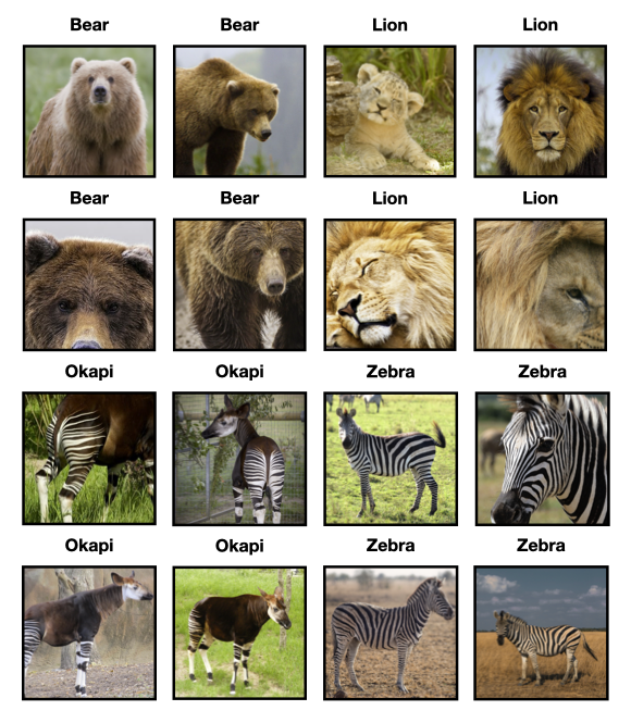 An example of image classification